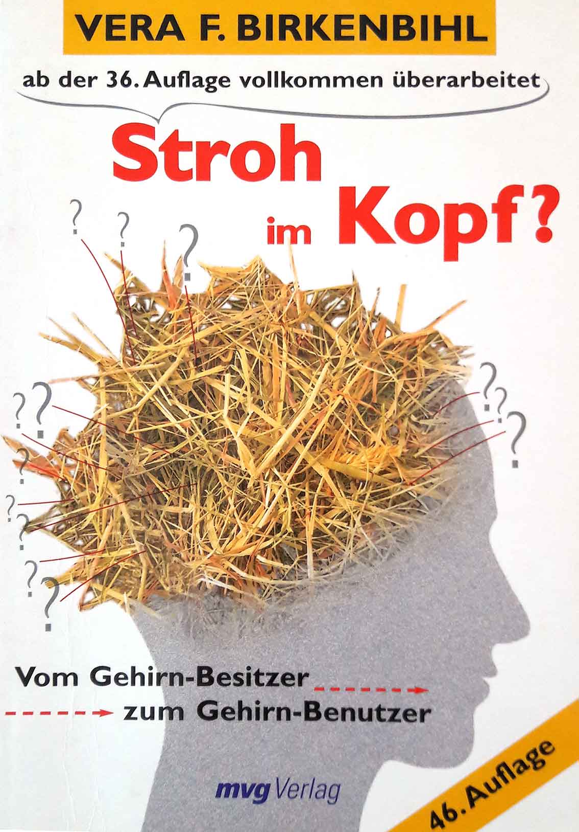 Buchtipp Stroh im Kopf von Vera F. Birkenbiehl